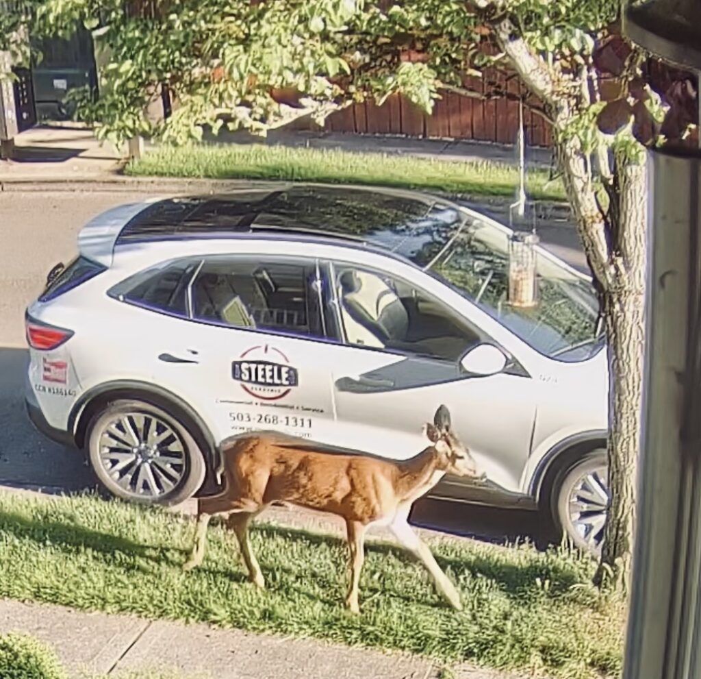 Afternoon stroll in Hillsboro
